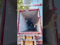 বহু রঙিন শিশুদের টানুন সঙ্গে ব্যাগ 30L টেলিস্কোপিক হ্যান্ডেল সঙ্গে